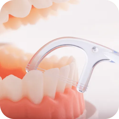 歯間ブラシ/フロスの活用