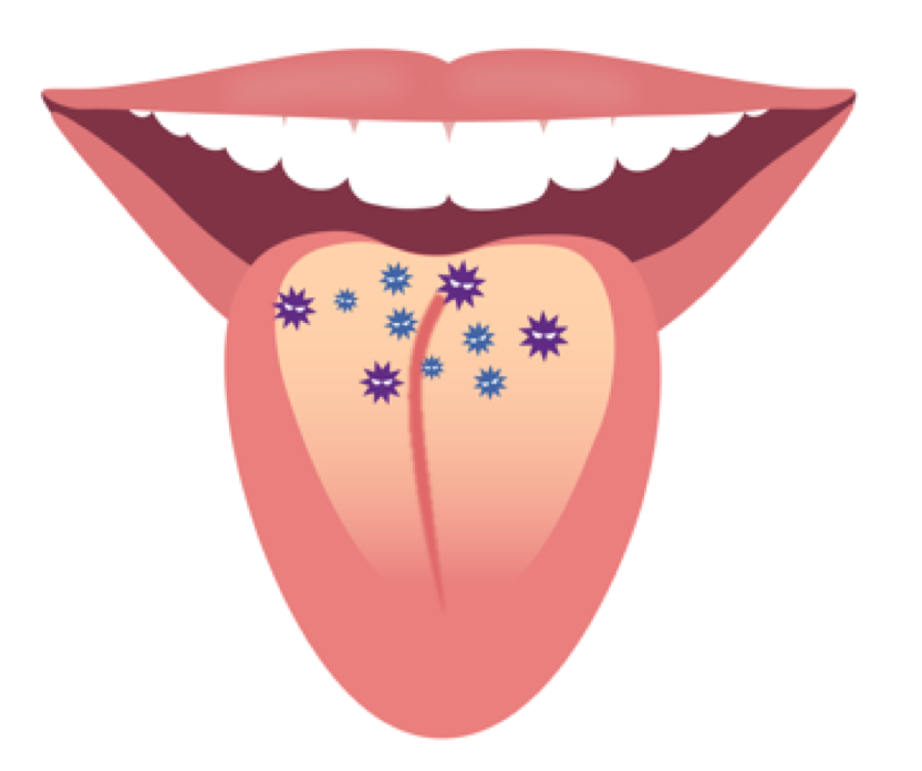 口臭の原因の6割は舌についた汚れ 舌苔 舌ブラシで舌を磨こう 本田歯科クリニック